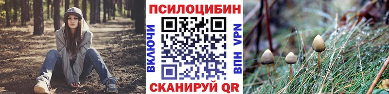 хочу   Макарьев  Галлюциногенные грибы Psilocybine cubensis 